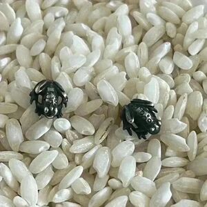 Vintage Sterling 925 frog stud earrings